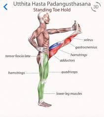 Pin By Alli Coleman On Yoga Anatomy Ashtanga Vinyasa Yoga Yoga Breathing Ashtanga Yoga