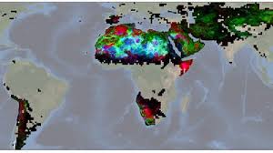 Office of Research and Development (ORD)