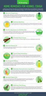 17 Amazing Home Remedies For Kennel Cough Home Remedy For Cough Cold Home Remedies Cough Remedies