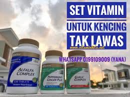 Bungou stray dogs opening english dub cover. Ubat Lawas Kencing Tradisional Berubat P