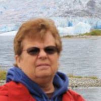 Mist Walker (Phantom Stallion: Wild Horse Island, #7) by Terri Farley