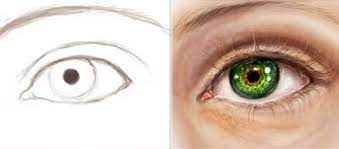 Drawing A Realistic Human Eye - Photoshop Lady