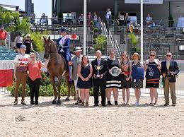 Daily updated videos of hot busty teen, latina, amateur & more. Costantini Unanimously Crowned 2019 Usef Saddle Seat Adult Amateur Medal Final Champion Us Equestrian