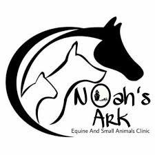 First pet veterinary clinic amman. First Pet Veterinary Clinic And Grooming Home Facebook