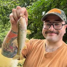ᐅ Greenville City Park Pond fishing reports🎣• Greenville, OH (United  States) fishing