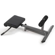 Adjustable Ab Back Bench Hyperextension Roman Chair For Lower Back Workout Woman