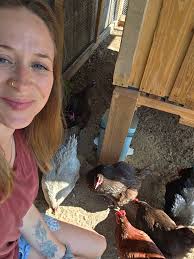 Plucking feathers 🪶 to find out if I got the wrong chicken! Why was  plucking feathers harder than I thought? 🥲 Billie is looking suspiciously  like a rooster, which I cannot have,