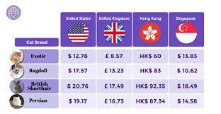 In most cases, pet insurance costs less than $40 per month and can save you money and your pet's life in the future. Reasons Why Pet Insurance Is Worth Every Cent