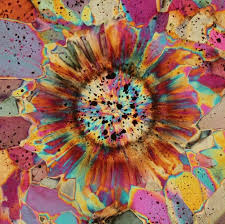 Inside A Rock Stunning Images Of Ocean Jasper Macro To Micro Micro Photography Ocean Jasper Art