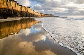 Anglesea Cliffs,Great Ocean Road. by Darryl Fowler