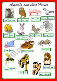 animals and their homes part 2 2 fully editable esl