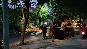 Tubuh korban tersangkut di atas tiang. Seorang Warga Di Bojonegoro Luka Luka Tertimpa Pohon Tumbang Kumparan Com