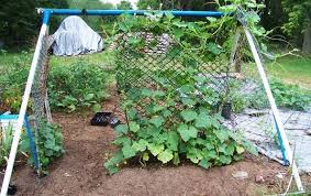 What Are Some Cheap Ideas For Making Trellis S Yahoo Answers Vegetable Garden Trellis Diy Garden Trellis Garden Trellis
