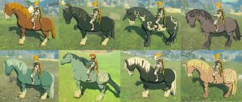 Color changing flowers are just the first step in personalized plants. Horse Looks The Legend Of Zelda Breath Of The Wild Walkthrough Guide Gamefaqs