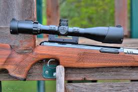 How to choose the best air rifle without ending with a headache? Top 5 Best Air Rifles For Squirrel Hunting In 2021 Reviews