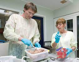 How Is The Typical Day Of A Food Technologist?