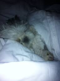 Bed Time