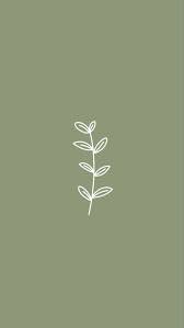 Pin By Aimee On Iphone Iphone Wallpaper Green Sage Green Wallpaper Green Wallpaper