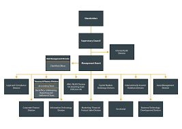 Organizational Structure Renesource Capital