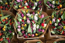 Maybe you would like to learn more about one of these? The Definitive Guide For Getting Last Minute Flowers On Valentine S Day