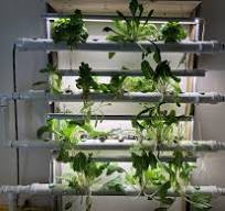 Building a Homemade Hybrid NFT System - Ponics Life