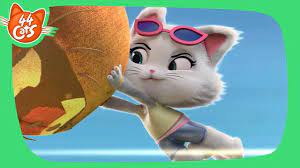 pin on 44 cats