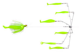 How To Judge Trolling Lure Depth Fishtalk Magazine