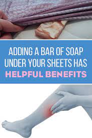 In the morning, i'll see that someone's little paws have mistaken the soap for a mouse. Pin On Everyday Health