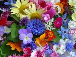 Edible flowers can be the perfect accent to dinner, dessert and drinks! 68 Edible Flowers For Beauty Flair Food And Health Gardensall Flowers