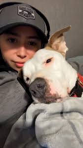 Vaccinate pets against parvo this time of year