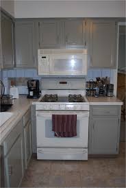 Bisque Appliances In Kitchen Appliances Ideas From Kitchens With Bisque Appliances