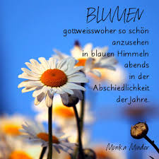 Wir hoffen, dass wir auch in zukunft auf sie zählen können! Zitat Geburtstag Chef Alles Gute Zum Geburtstag Chef Zitate Beste