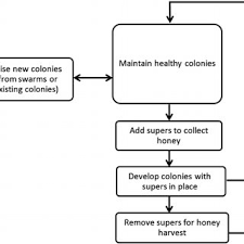 hand picked honey flow chart process flow diagram of natural