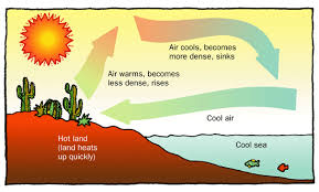 Convection Cell Diagram For Board Vectors Conv Cell Atmos Labeled Gif 550 332 Teacher Life Properties Of Matter Middle School Curriculum