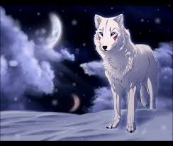 Волчий дождь | wolf's rain. Free Download White Wolf Anime Wallpapers Background 879x743 For Your Desktop Mobile Tablet Explore 92 Anime Wolves Wallpapers Anime Wolves Wallpapers Wolves Backgrounds Wolves Wallpaper