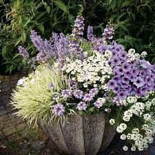 Tentez de regrouper les plantes qui ont le même besoin en eau et en. Epingle Par Pickpickanard Sur Fancy Garden Inspiration Fleurs Annuelles Fleur Jardiniere Jardinage En Pots