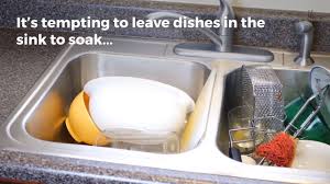 Maybe you would like to learn more about one of these? Hygiene Habits It S Time To Ditch Leaving Dirty Dishes In The Sink Youtube