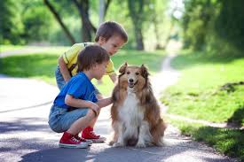 Searching For Preschool In Coconut Grove Kla Schools Of Coral Gables Offers Remarkable Learning Experiences For Your Child Here Hayvan Hayvanlar Okul Oncesi