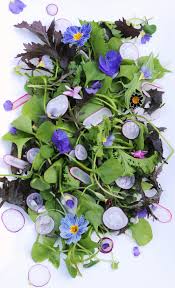 Maybe you would like to learn more about one of these? Edible Flowers Spring Equinox On A Plate