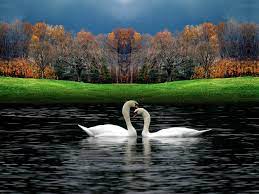 Valentine Day Wallpaper 1 Related Wallpapers Http Webneel Com Wallpaper Valentines Day H Beautiful Images Nature Beautiful Photos Of Nature Nature Photos