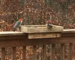 Bird Feeder Pole For Deck Railing Deck Rail Bird Feeder 5 1 2 Quot Mount Bird Feeders Diy Bird Feeder Rail Bird