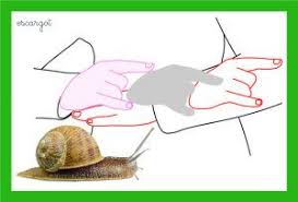 Fiches Vocabulaire Les Animaux De Notre Quotidien Le Plaisir D Apprendre Lsf Langage Des Signes Bebe Lsf Signes Bebe
