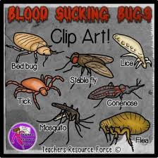 pin on clip art for teachers