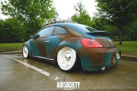 New Beetle Rat Volkswagen New Beetle New Beetle Vw New Beetle