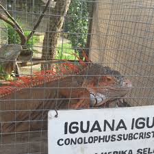 Maybe you would like to learn more about one of these? Taman Rusa Kabupaten Aceh Besar Aceh