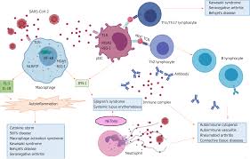 We did not find results for: Autoimmunity As The Comet Tail Of Covid 19 Pandemic