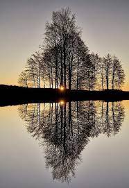 Phenomenal Reflection Pictures On Water Reflection Pictures Nature Photography Scenery