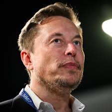 Elon Musk Dropped From APEC CEO Summit Agenda After Controversial Comments 