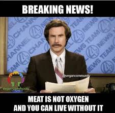 When People Say They Cannot Live Without Meat Vegan Meme Vegan Humor Vegan Lifestyle Vegan Humor Vegan Jokes Vegan Quotes