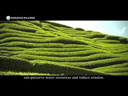 Soil And Water Conservation Measures On Slope Farmland Youtube Soil And Water Conservation Water Conservation Soil